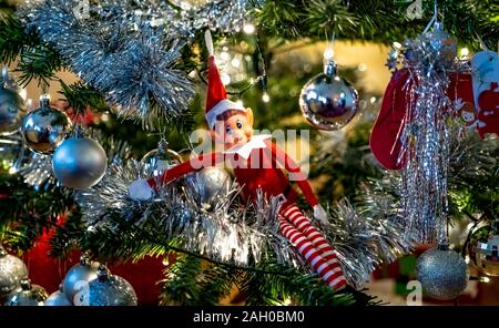 Selective focus on naughty Christmas elf sat in a decorated Christmas tree Stock Photo