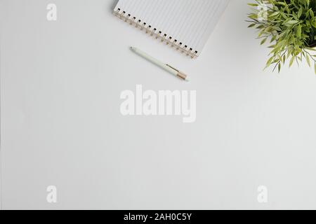 Copyspace for your advert or notes surrounded by pen, notebook and plant Stock Photo