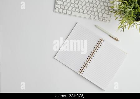 Flat layout with pen, computer keypad, open notebook with blank pages and plant Stock Photo
