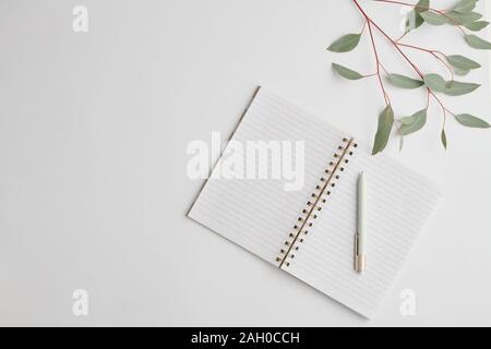 Top view of open notebook with blank pages, pen and branch of plant on desk Stock Photo