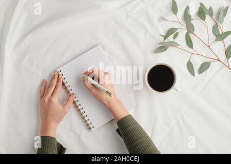 Overview of hands of young businesswoman with pen making notes in notebook Stock Photo