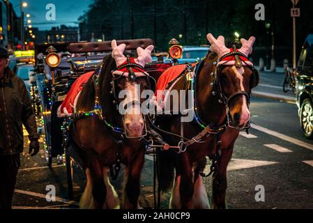 Horse wearing a hat with reindeer antlers and other Christmas decorations, haulin a cart decorated with christmas lights of multiple colors. Stock Photo
