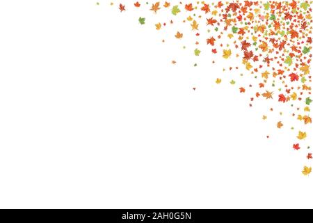 Maple Leafs banner. Autumn frame. Vector illustration. Stock Vector