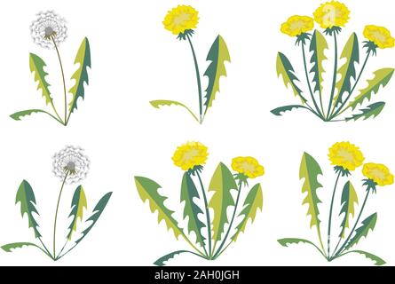 Set of dandelions on white background. Flat Design. Vector Illustration Stock Vector