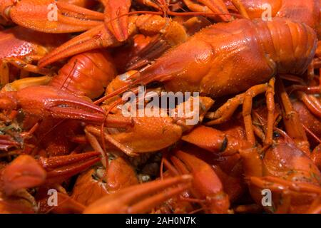 Crayfish boiled on a plate on the table before eating Stock Photo