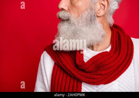 Cropped close-up profile side view portrait of his he nice attractive groomed calm confident content virile gray-haired man isolated over bright vivid Stock Photo