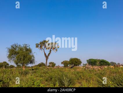 Traditional Mundari tribe village with doum palm trees, Central Equatoria, Terekeka, South Sudan Stock Photo