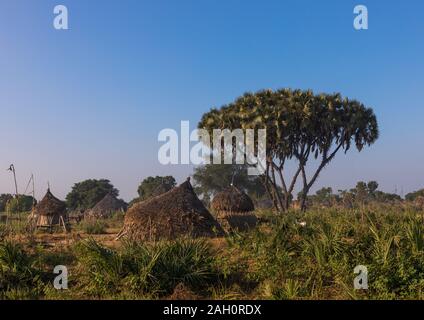 Traditional Mundari tribe village with doum palm trees, Central Equatoria, Terekeka, South Sudan Stock Photo