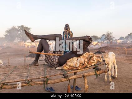 Mundari tribe man resting on a wooden bed in the middle of his long horns cows, Central Equatoria, Terekeka, South Sudan Stock Photo