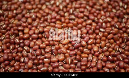 Adzuki beans plant detail, azuki or adzuki pulses for healthy nutrition, superfood. It comes from China Himalayas and is popular in Asia such as Japan Stock Photo