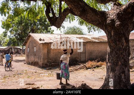 Benin, Kandi, african women, african village, carrying firewood, mud ...