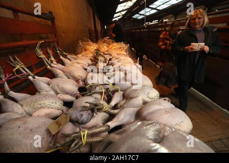 Buyers view turkeys before being sold at CD Auctions Christmas poultry sale at Longtown Auction market. PA Photo. Picture date: Monday December 23, 2019. The auction sells geese, ducks & chickens all oven ready or rough plucked for Christmas. Photo credit should read: Andrew Milligan/PA Wire Stock Photo