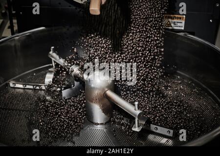 Freshly roasted coffee beans pouring from a large coffee roaster into the cooling cylinder. Stock Photo