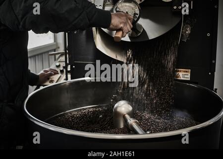 Freshly roasted coffee beans pouring from a large coffee roaster into the cooling cylinder. Stock Photo
