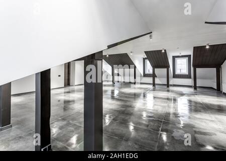 Empty unfurnished loft mansard room interior with wooden columns and wet concrete floor on roof level in black and whote style color Stock Photo