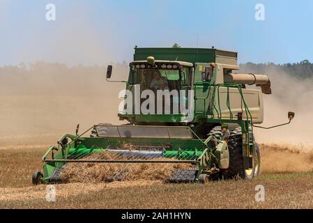 Caledon, Western Cape, South Africa. December 2019. Combine harvester machine working in the wheatlands region near Caledon, Western Cape. Stock Photo