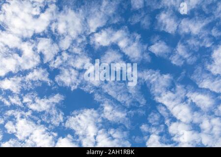 looking up to see the white puffy clouds in a blue sky Stock Photo
