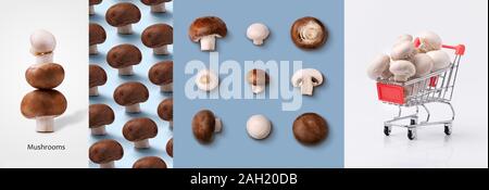 Fresh mushrooms   panoramic collage, healthy eating concept, food background with autumn champignon. Creative minimalism Stock Photo