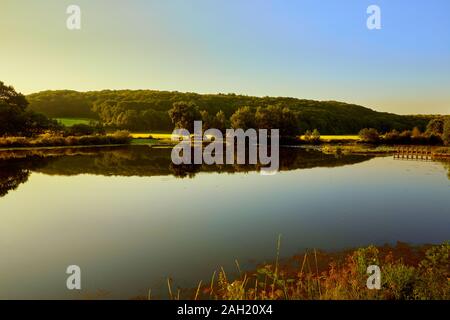 Image of La Villaine River early morning with trees and grass Stock Photo