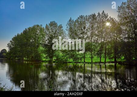 Image of La Villaine River with trees and green grass Stock Photo