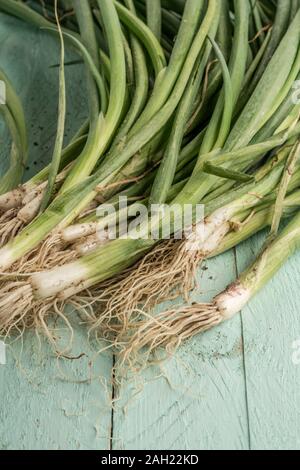 bunch of fresh onion on a wooden table with copy space Stock Photo