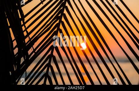 Sunset in Santa Teresa, Costa Rica Stock Photo