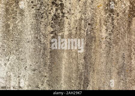 grunge concrete wall, dirty for backgrounds or design Stock Photo