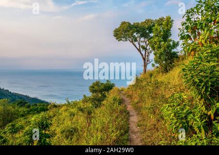 A beautiful nature scene, with a narrow, dirt footpath leading to a single tree overlooking the sea. In the Philippines. Stock Photo