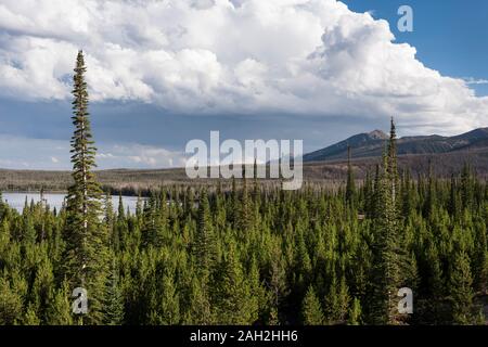 Routt National Forest Recreation Area with Big Creek Lakes and campground on the edge of Mount Zirkel Wilderness. Stock Photo