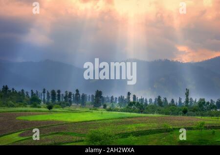 Beams of light passing through clouds at the time of sunset and hitting lush green landscape Stock Photo