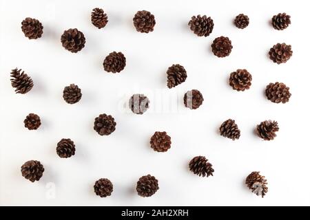 Holiday decoration with fir cones isolated on white background Stock Photo