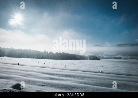 Frozen winterland with trees and dust and fog with sunrays on the blue sky and a lot of snow in the bavarian forest Stock Photo