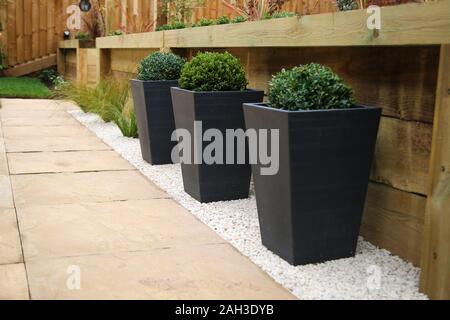 Contempary garden pots and retainign wall Stock Photo
