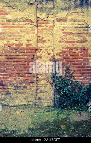 old bricks wall abandoned and in decay Stock Photo