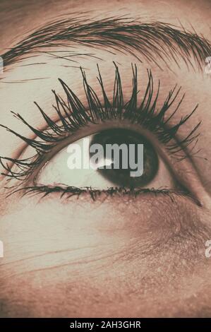 close up of a female eye, retro photo style Stock Photo