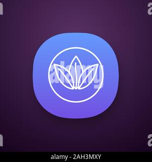 Eco products app icon. UI/UX user interface. Ecological material. Natural latex. Plant leaves. Organic eco friendly mattress. Mattress property. Web o Stock Vector
