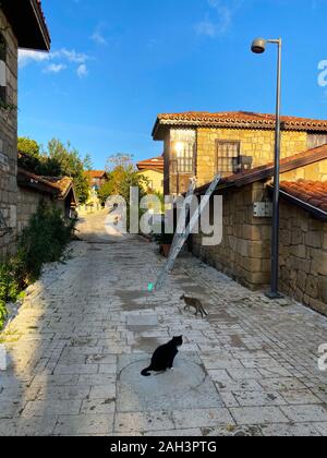 The street of the city of Side. Go along the road at home. A wall of stone and a wooden door. Two cats are walking along the road. Sunny day. Turkey, Stock Photo
