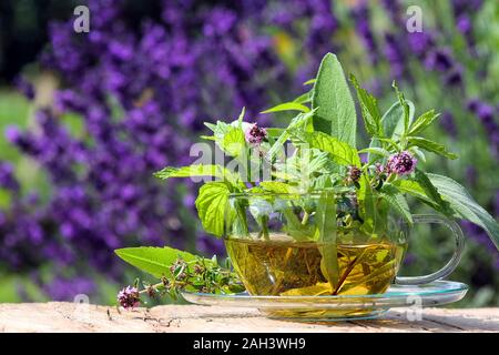 Teacup with fresh healing herbs Stock Photo