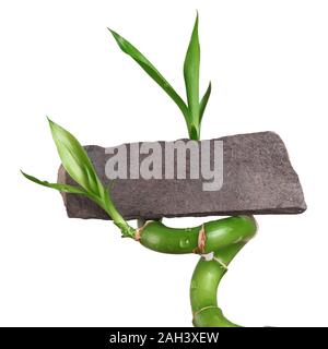 Bamboo with blank label Stock Photo