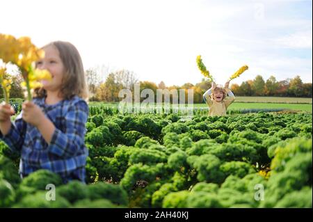 Girl and boy in a kali field, leaves as rabbit ears Stock Photo