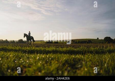 Woman riding horse on a field in the countryside at sunset Stock Photo