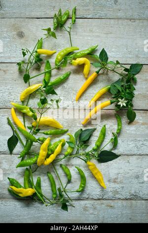 Overhead view of yellow and green chillies (Capsicum) with leaves and flowers on rustic wooden background Stock Photo