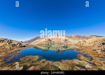 New Zealand, North Island, Clear blue sky over shiny lake in North Island Volcanic Plateau Stock Photo