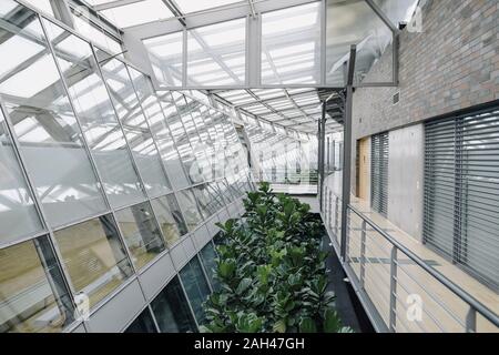 Interior of a modern office building Stock Photo