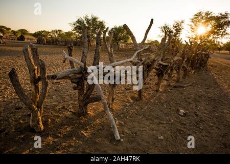 Himba people, Namibia- Fences around the village Stock Photo