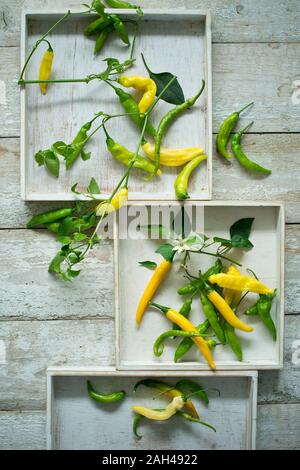 Overhead view of yellow and green chillies (Capsicum) with leaves and flowers on rustic wooden background Stock Photo