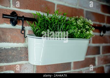 In a ceramic pot decorative home greens. In the kitchen on the stove background. Artificial grass. Interior landscaping. Stock Photo