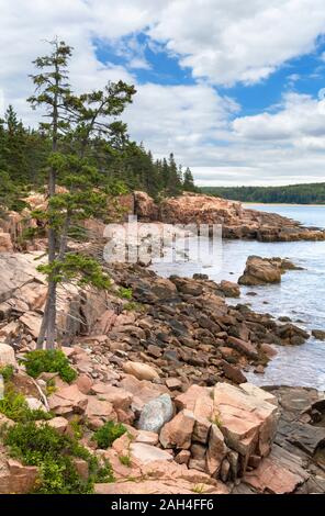 The coastline near Thunder Hole in Acadia National Park, Maine, USA Stock Photo