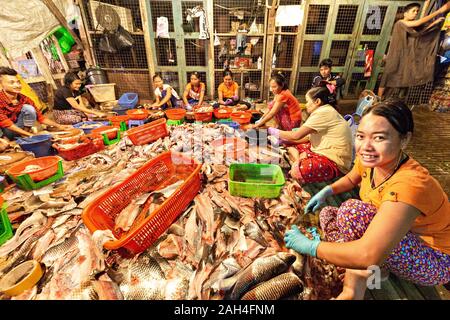 Local women cleaning fish in the fish market, in Yangon, Myanmar Stock Photo