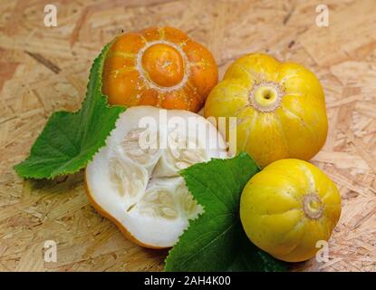 Lemon cucumbers, Cucumis sativus, on a wooden surface Stock Photo